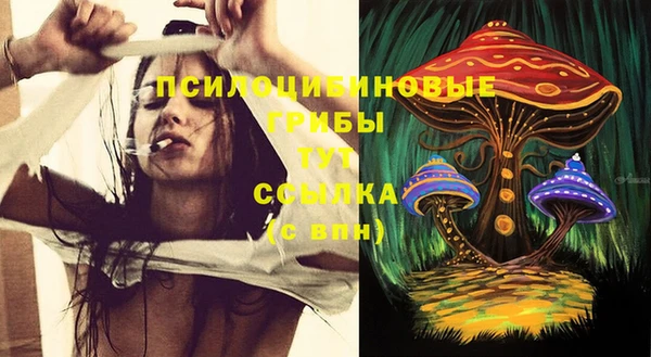 бошки Беломорск
