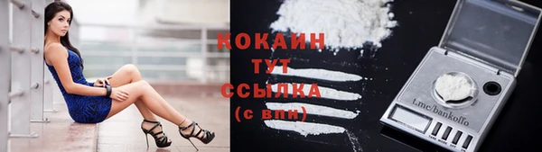 прущий лед Белокуриха